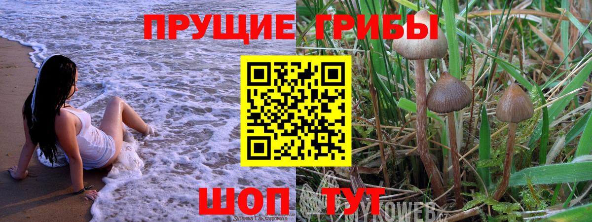 Галлюциногенные грибы Magic Shrooms Тихорецк