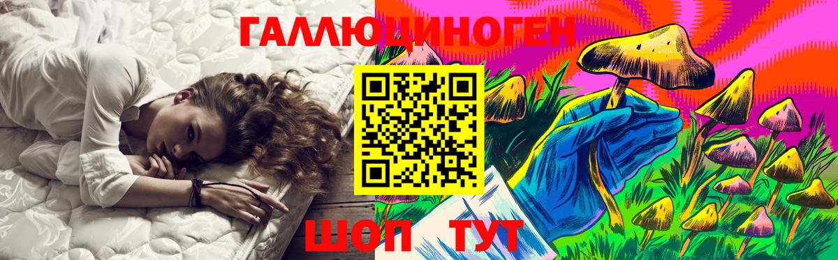 Галлюциногенные грибы Psilocybine cubensis  Псилоцибиновые грибы прущие грибы  Вход с VPN  Тихорецк 